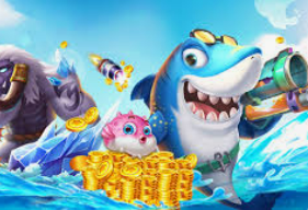 595cc开元官网版