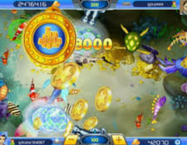 595cc开元官网版最新版