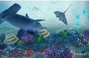 595cc开元官网版正式版